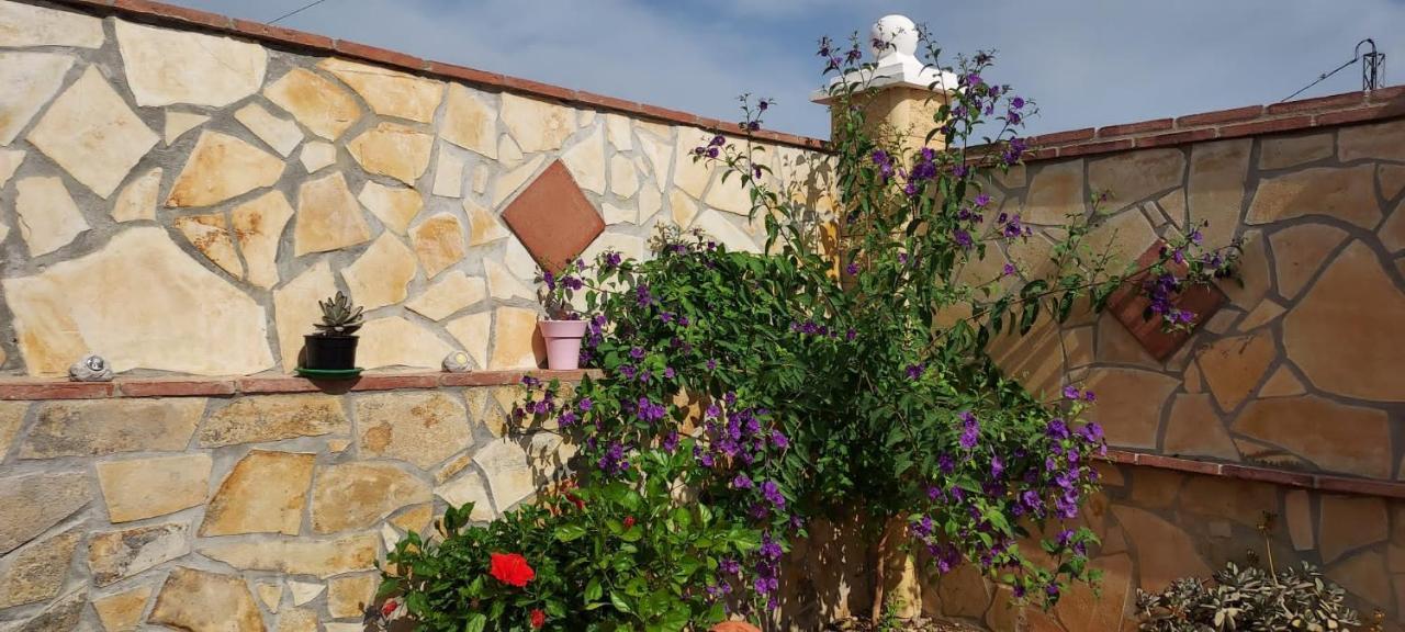 Mi Cortijo Hébergement de vacances Nerja